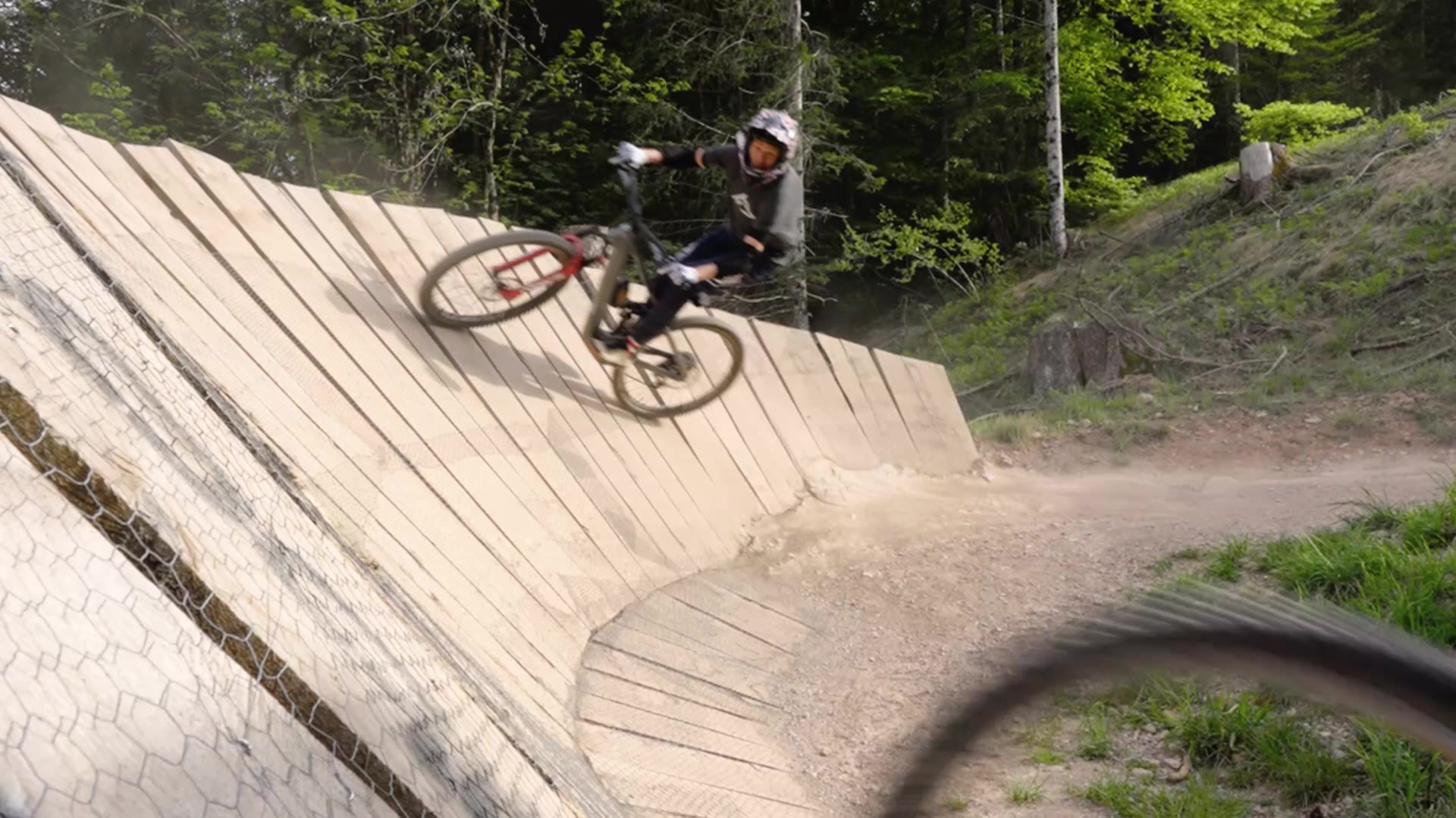 Steppenwolf Bikes im Wald