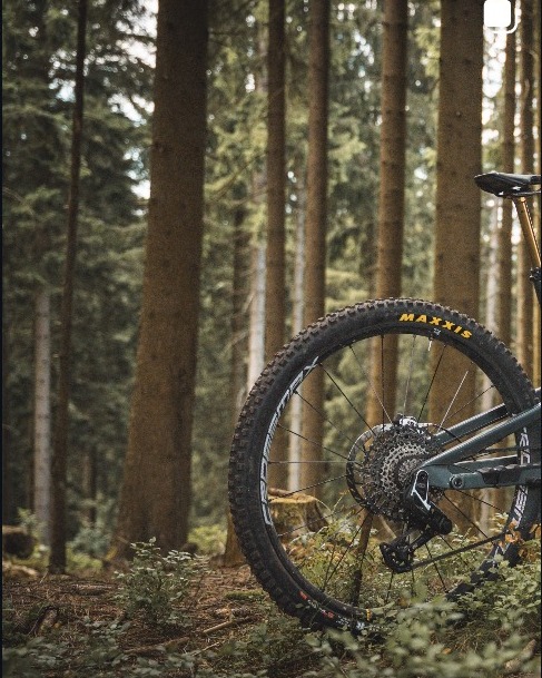 Steppenwolf Bikes auf Instagram